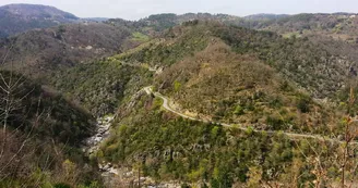 Gorges de la Dunière