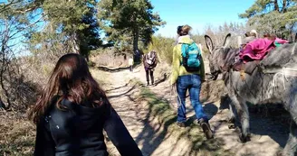 Estelle Brodeur (Ânes sans frontières) - Hikes with donkeys