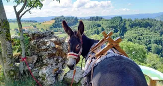 Estelle Brodeur (Ânes sans frontières) - Hikes with donkeys