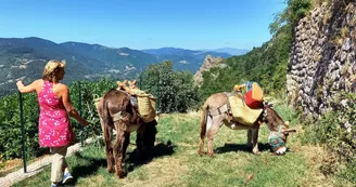 Estelle Brodeur (Ânes sans frontières) - Hikes with donkeys