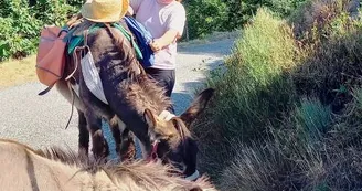 Estelle Brodeur (Ânes sans frontières) - Hikes with donkeys