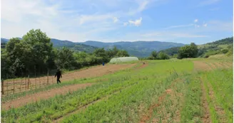La ferme des Auches
