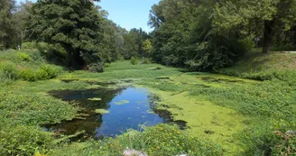 Protected natural site on Printegarde Island