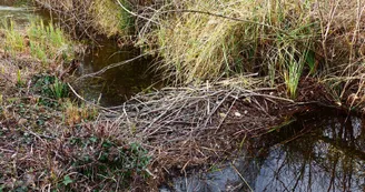Protected natural site on Printegarde Island