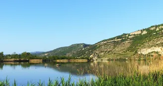 Protected natural site on Printegarde Island