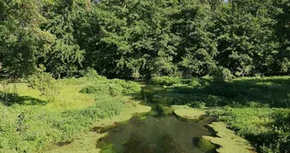 Protected natural site on Printegarde Island