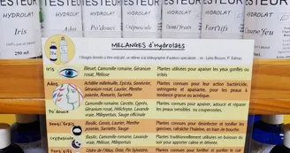 Les Essentielles Les Essentielles