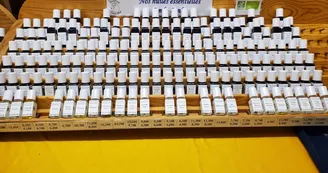 Les Essentielles Les Essentielles