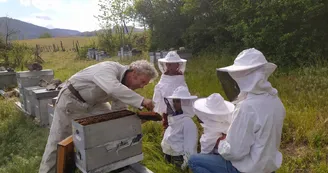 Beekeeping - L'Abeille du Doux