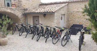 Nature & Motion - Electric bike rental