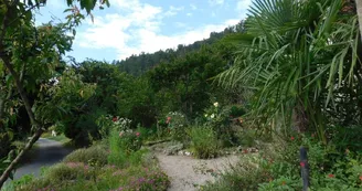 Maison Marinonloika