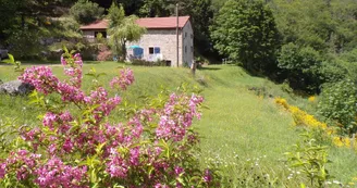Gîte du Balaï