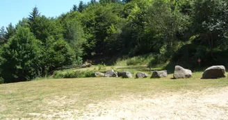 Gîte du Balaï
