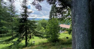 Gîte Montreynaud