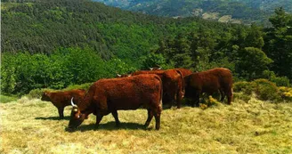GAEC du Douzet