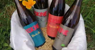 Brasserie Kokine Bières Brasserie Kokine Bières