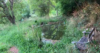 Trois Cèdres - Gîte "Le Greffon"