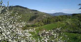 Boulon Farm