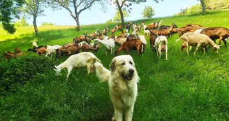 GAEC de la Ferme de Presles GAEC de la Ferme de Presles