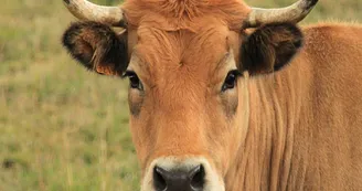 Ferme de Bouton