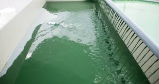 Spiruline La Craquante