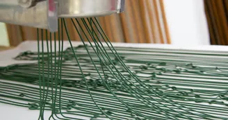 Spiruline La Craquante
