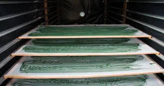 Spiruline La Craquante