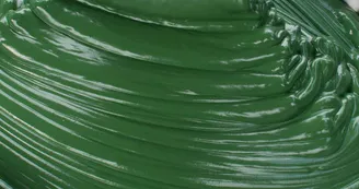 Spiruline La Craquante