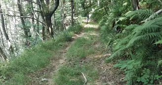 Un brin d'Ardèche
