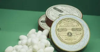 Escape Game "Le fil des origines" - Musée Montagut