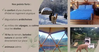 Dôme géodésique "forêt" Dôme géodésique "forêt"
