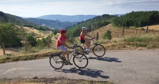 Electric bikes